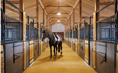 plankreisat--article-4809-0.jpeg; © dimaris - stock.adobe.com